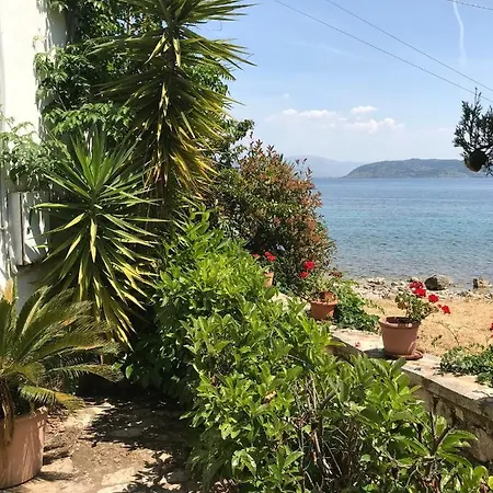 The Beach House *